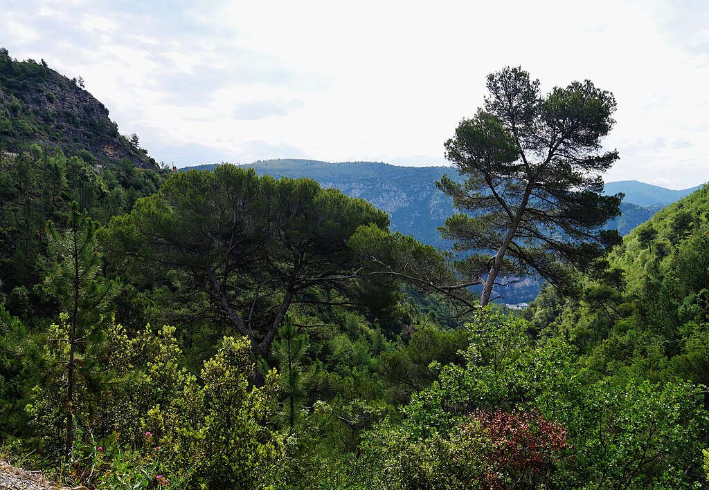 Devis renovation interieure Alpes-Maritimes