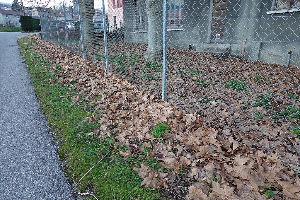 Devis renovation interieure Bellegarde-sur-Valserine