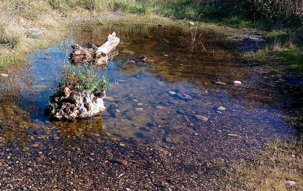 Devis renovation interieure Wittenheim