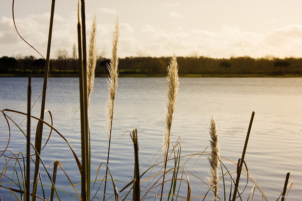 Devis renovation interieure Tournefeuille