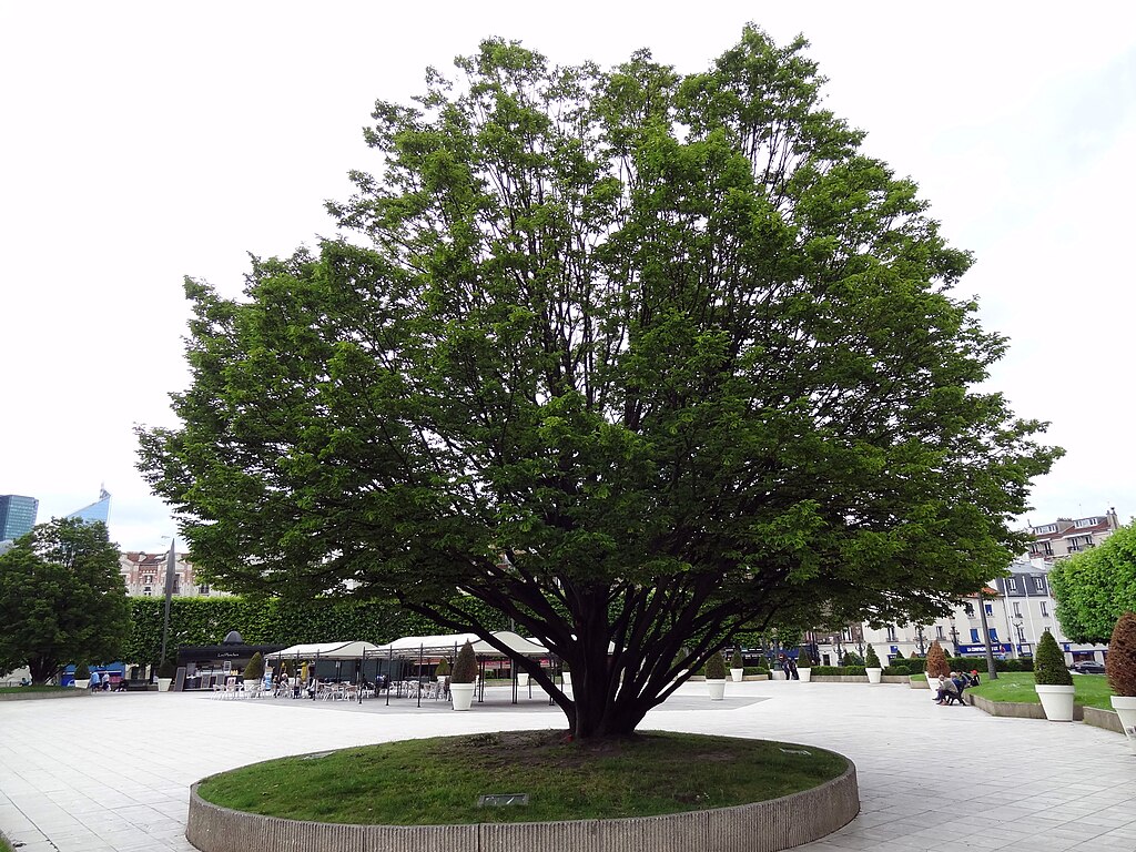 Devis renovation interieure Puteaux